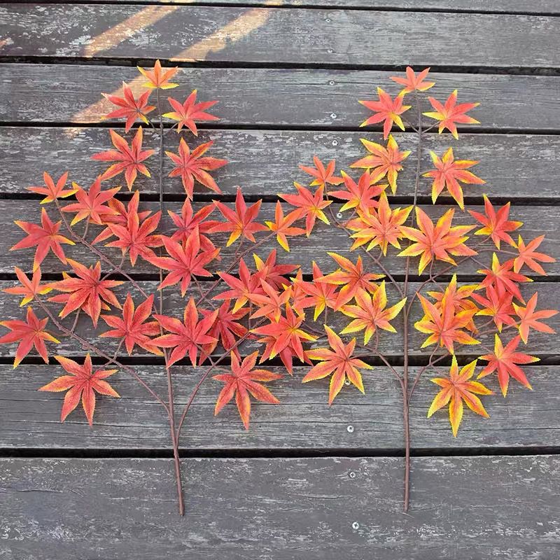 004217c72d7fa62d45884006b49a870