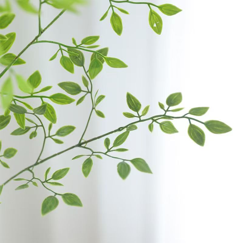 5916ffcf166acca4bca43df9fa28dce