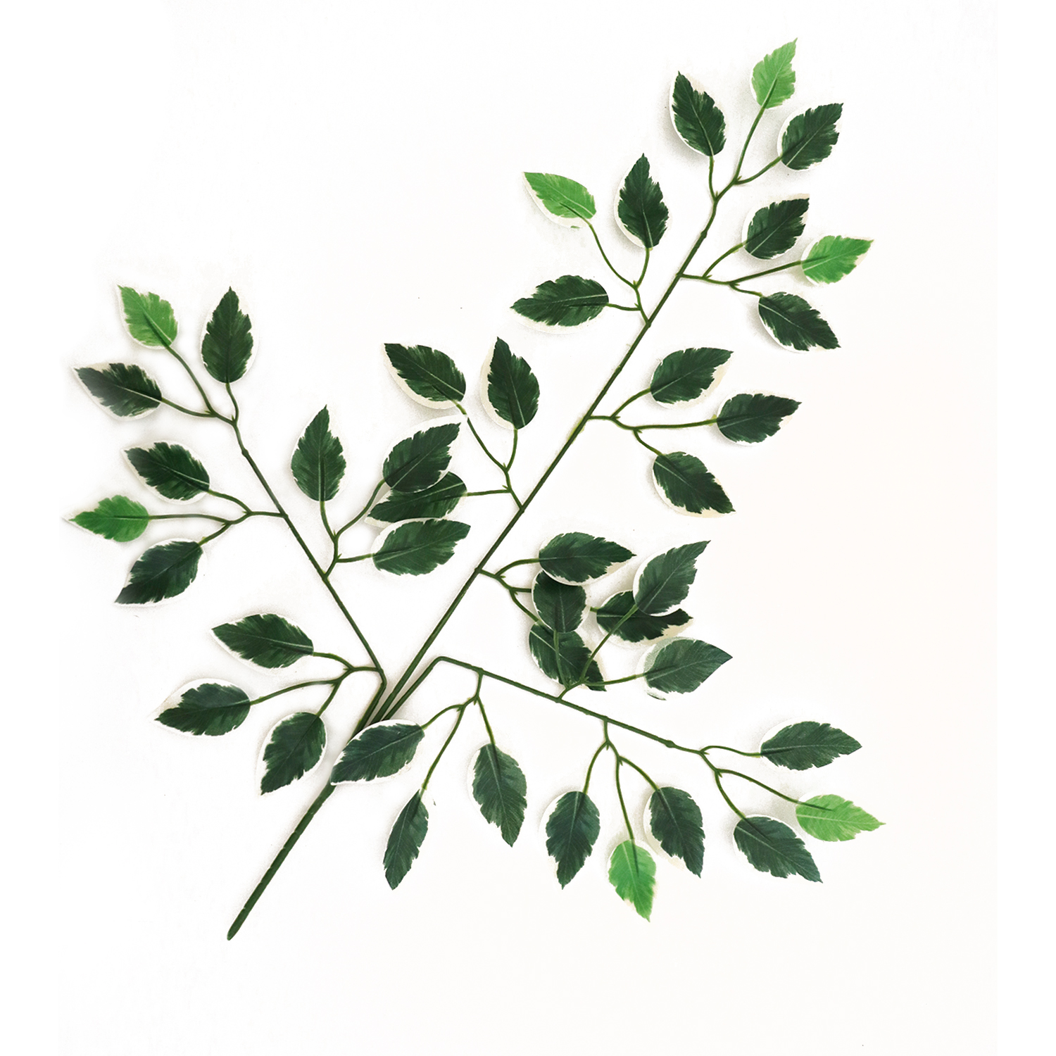 Artificial-Ficus-leaves