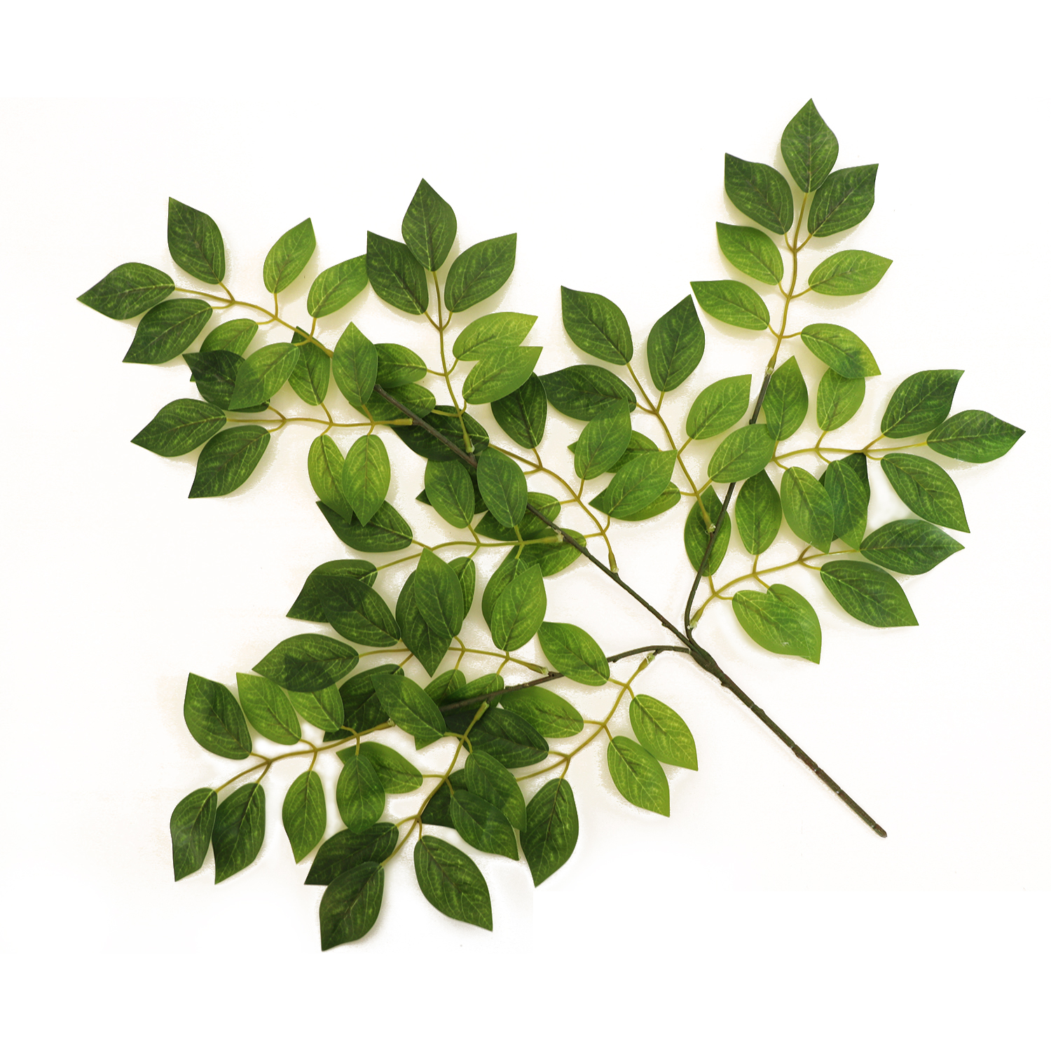 Simulate-tree-leaves