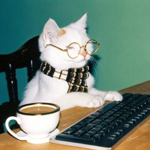 Market Research Offi的头像